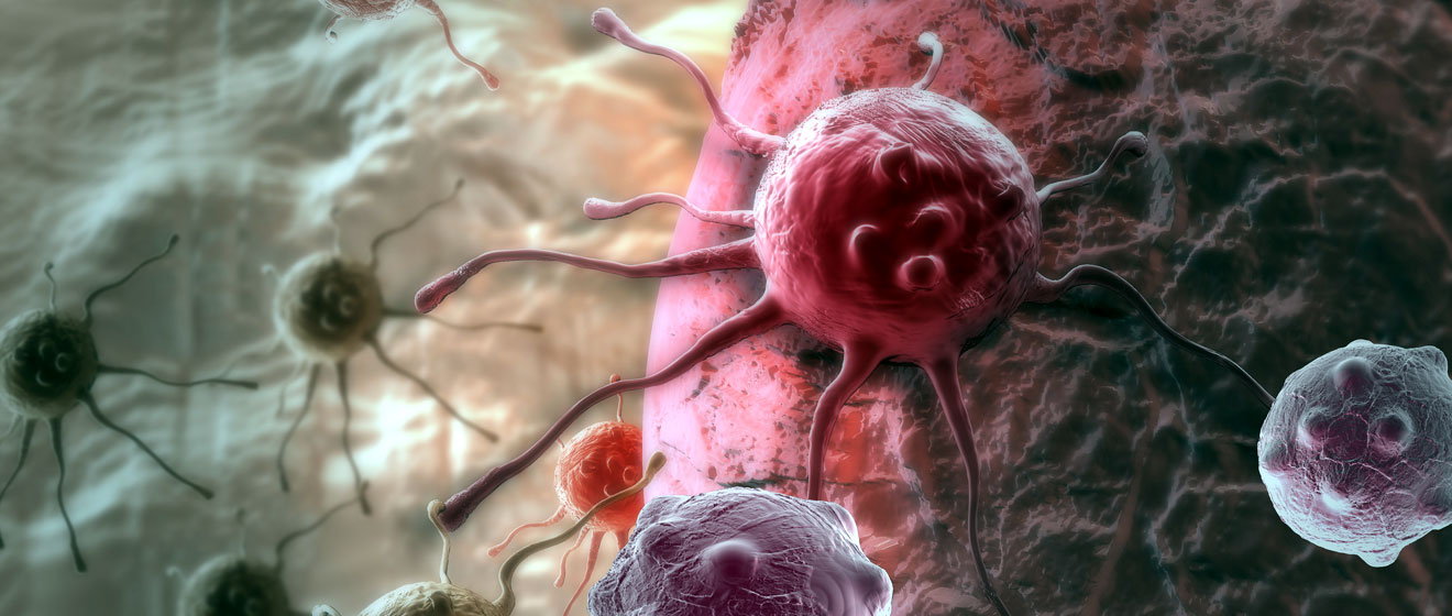 Щоб з раком боровся сам імунітет. Вчені пояснюють Нобель-2018 у медицині |  Українська правда _Життя