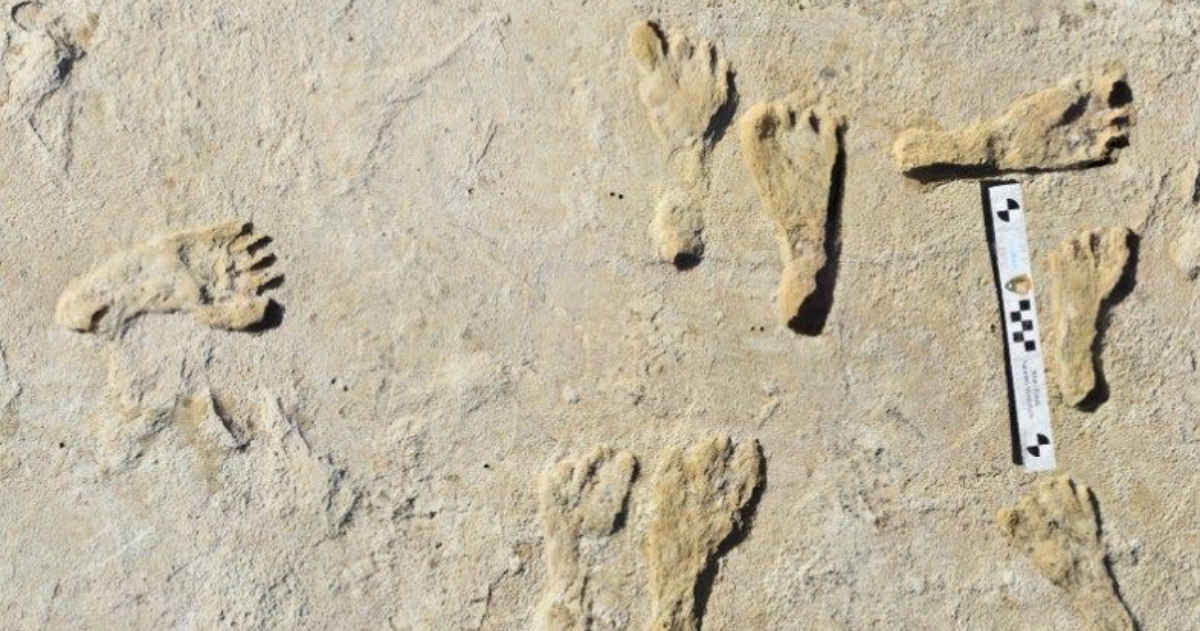 Scientists have confirmed the age of the oldest human traces in North America – study