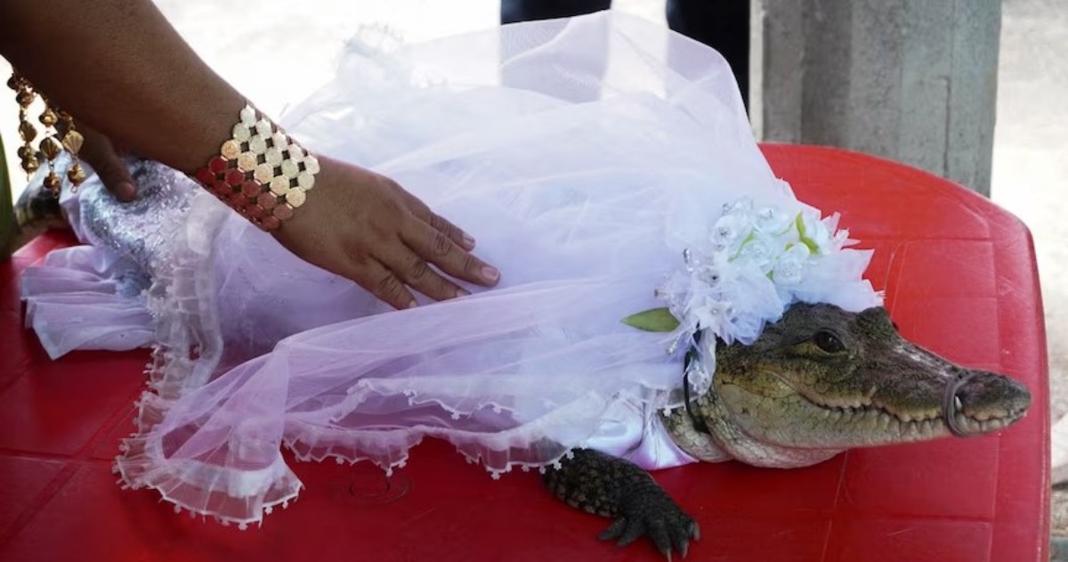 Such a ritual: the mayor of a town in Mexico “married” a crocodile.  PHOTO