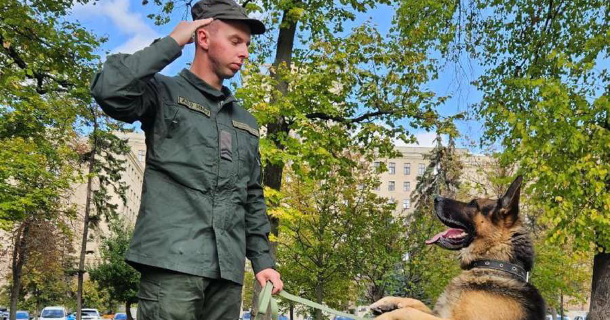 In Kharkiv, the four-legged guardsmen were awarded for their dedicated service.  PHOTO