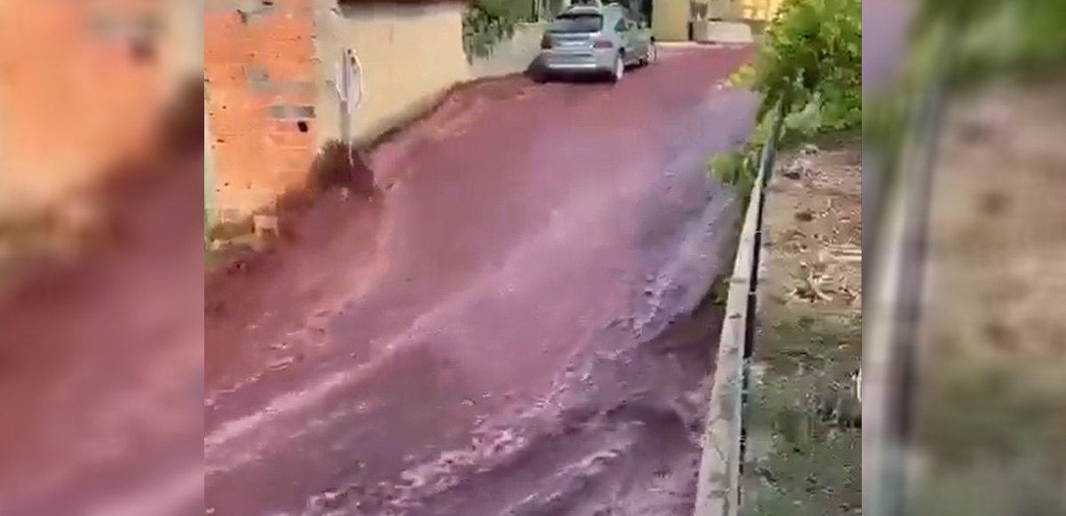 In Portugal, due to an explosion at the factory, 2 million liters of wine poured through the streets.  VIDEO