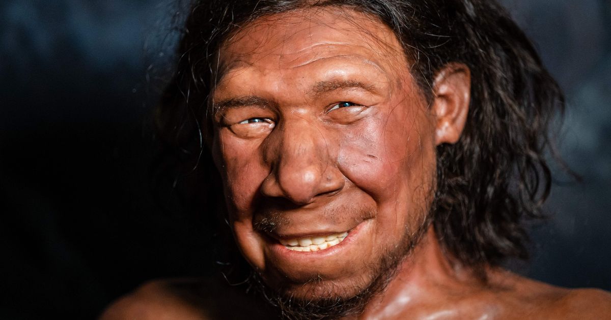 Humans may be ‘larks’ thanks to inherited Neanderthal genes – study