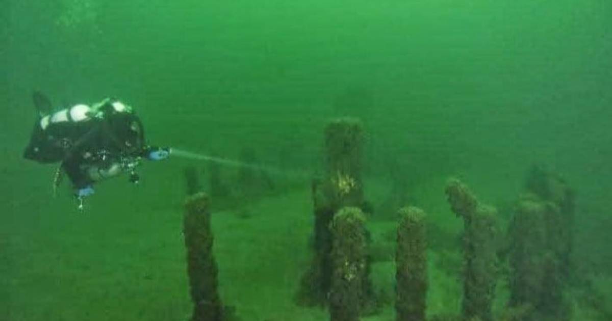 In the USA, an “underwater Stonehenge” was found at the bottom of a lake: it is more than 9,000 years old