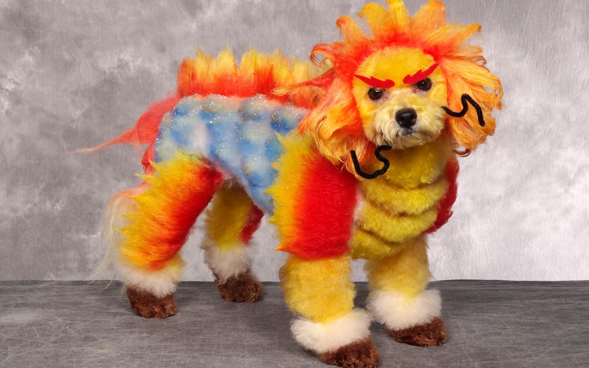 Груминг великие. Разноцветные Пудели. Необычные стрижки собак. Крашеные собаки. Креативный груминг собак.