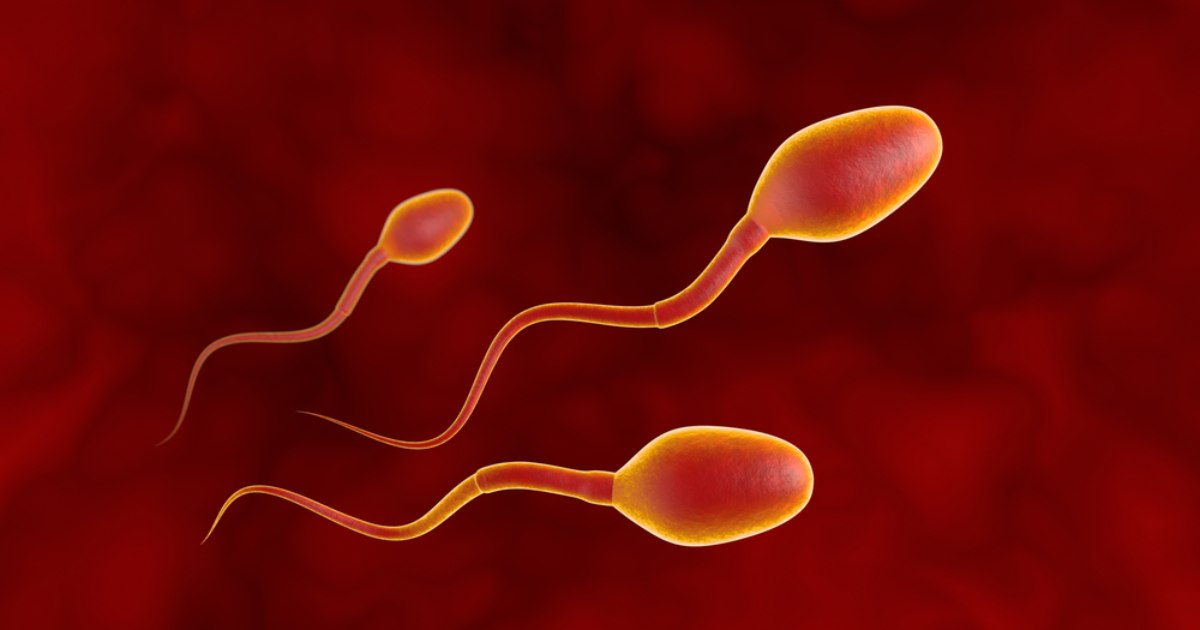 Scientists have discovered that sperm can break one of the main laws of physics