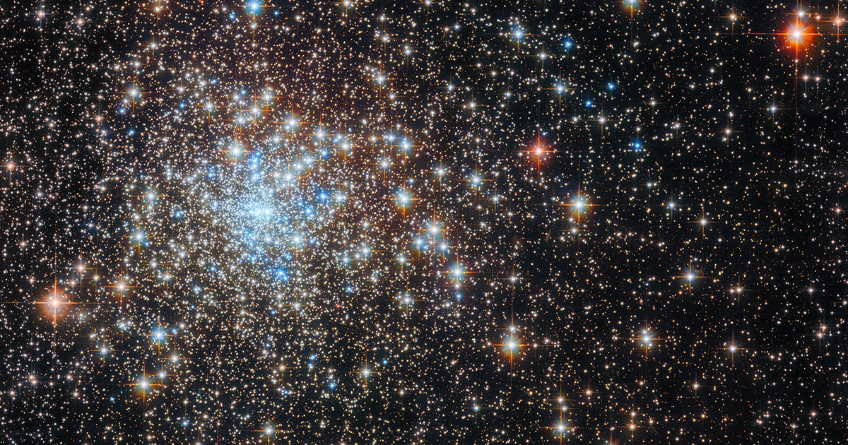 A brilliant star cluster was filmed by Hubble: it may contain a black hole
