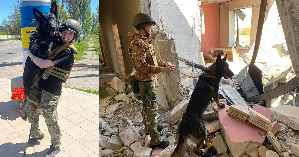 Repelled by an explosive wave: a dog trainer from Kyiv was injured in Kherson