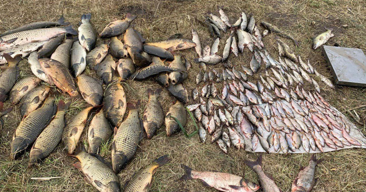 In Vinnytsia, fishermen illegally caught 218 kg of fish – now they have to pay a fine of UAH 700,000