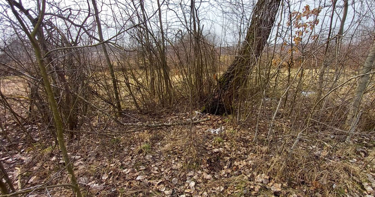 In the Rivne region, a “kidnapped” boy was found with his hands tied in the bushes