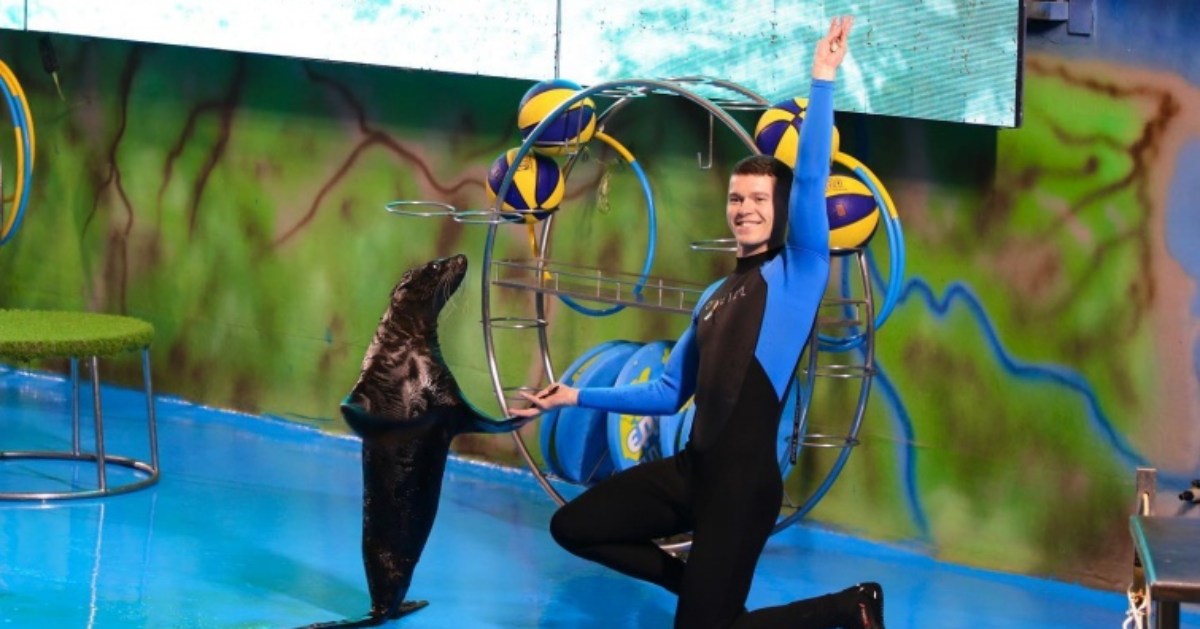 Scandal with “Nemo”: the police opened a case against the dolphinarium after filming a video with animals in the hotel