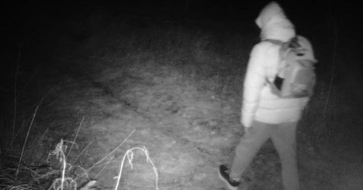 The Kyivan tried to escape to Hungary and “caught” a camera trap that filmed him.  PHOTO