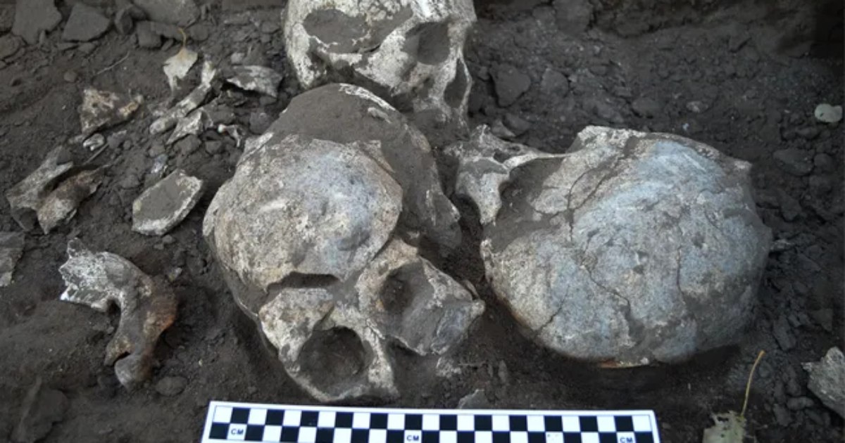 Traces of a mass massacre: 41 decapitated skeletons of women and children were found during excavations in China