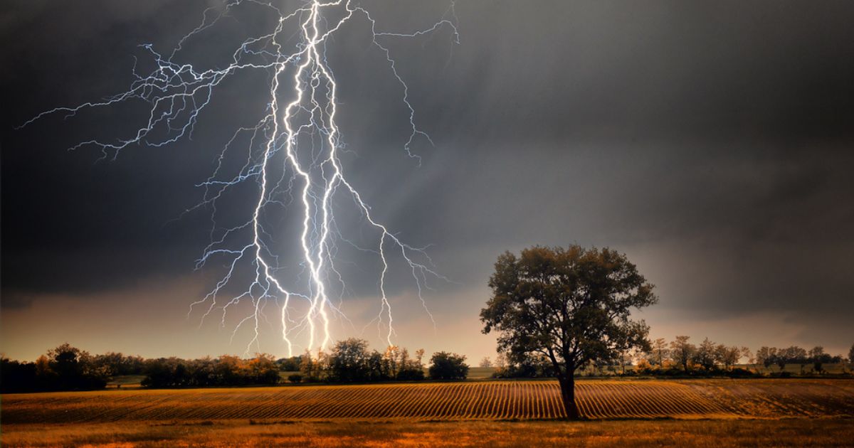Wet skin can save you during a lightning strike – study