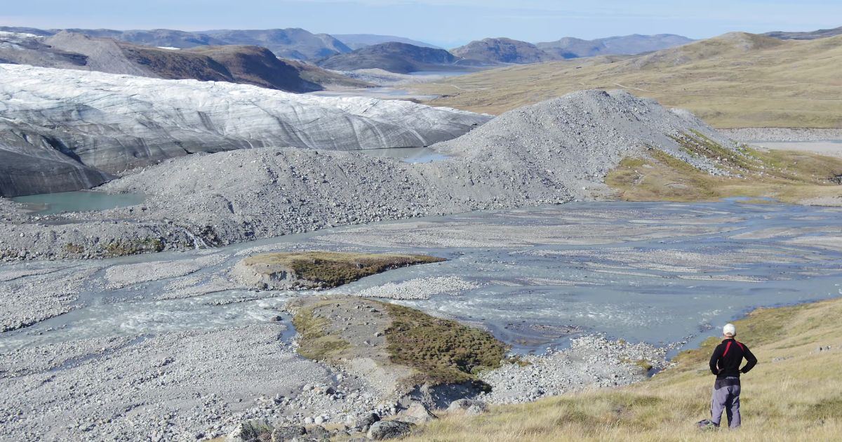At the site of the melting ice sheet: in Greenland, the amount of vegetation has increased significantly