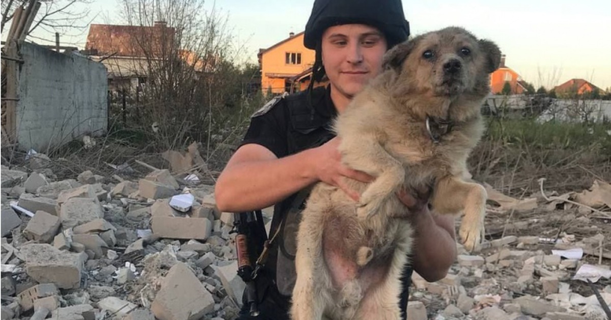 A dog rescued by patrolmen after Russian shelling in Sumy has died