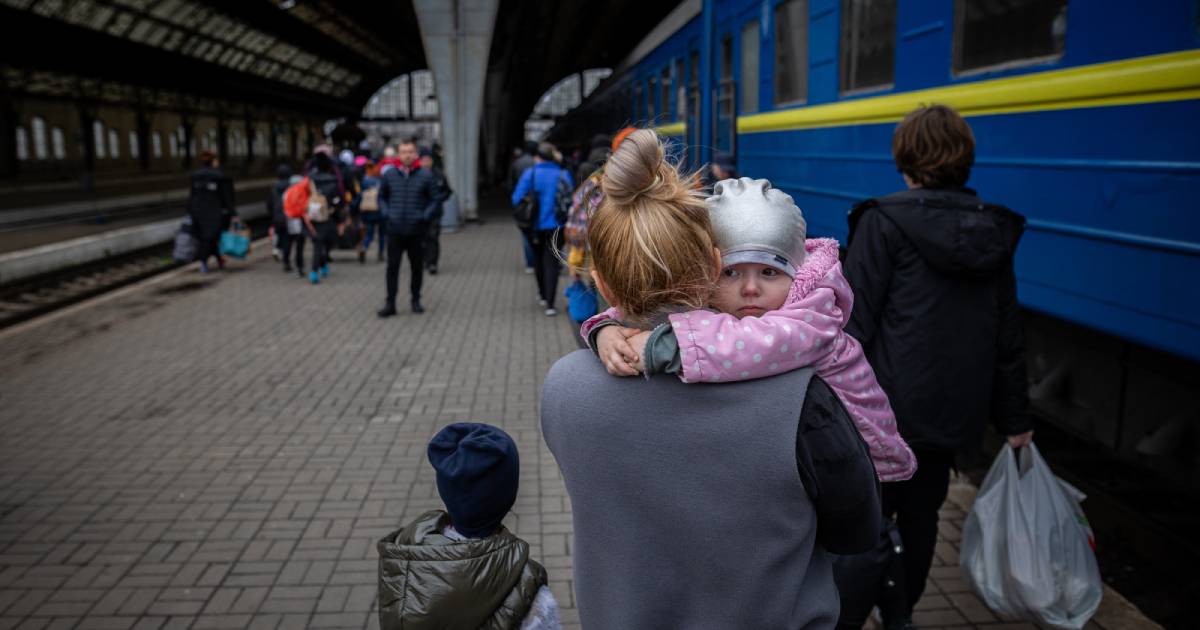 Since the beginning of the full-scale war in Ukraine, more than 11,000 children deported to the Russian Federation have been searched – OGP
