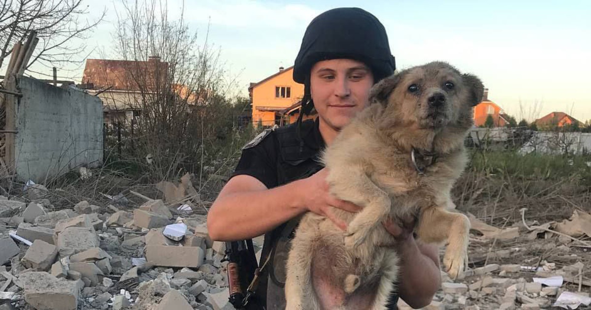In Sumy, patrolmen rescued a frightened dog from under the rubble.  VIDEO