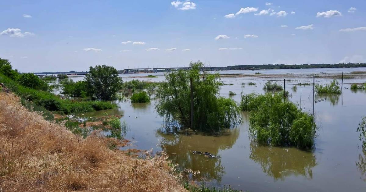 In the Kherson region, the water level in the Dnieper has returned to its natural course