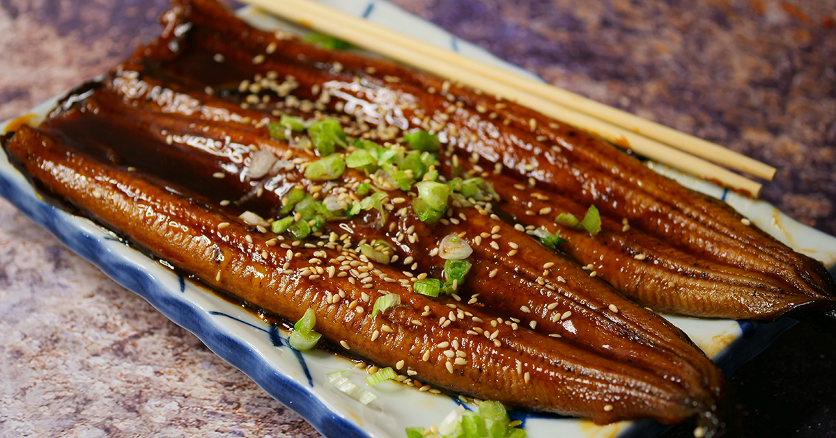 In Israel, eel meat was grown in a laboratory for the first time