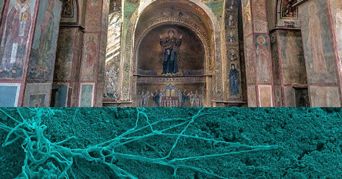 Scientists found out the origin of stains on the frescoes of Sophia of Kyiv
