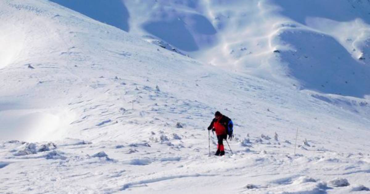 A snow avalanche descended in the Carpathian highlands.  PHOTO