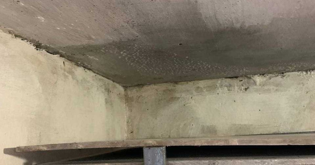 Mold on the walls and a basement instead of a shelter: in the Khmelnytskyi region, violations were discovered in a children’s rehabilitation center.  PHOTO