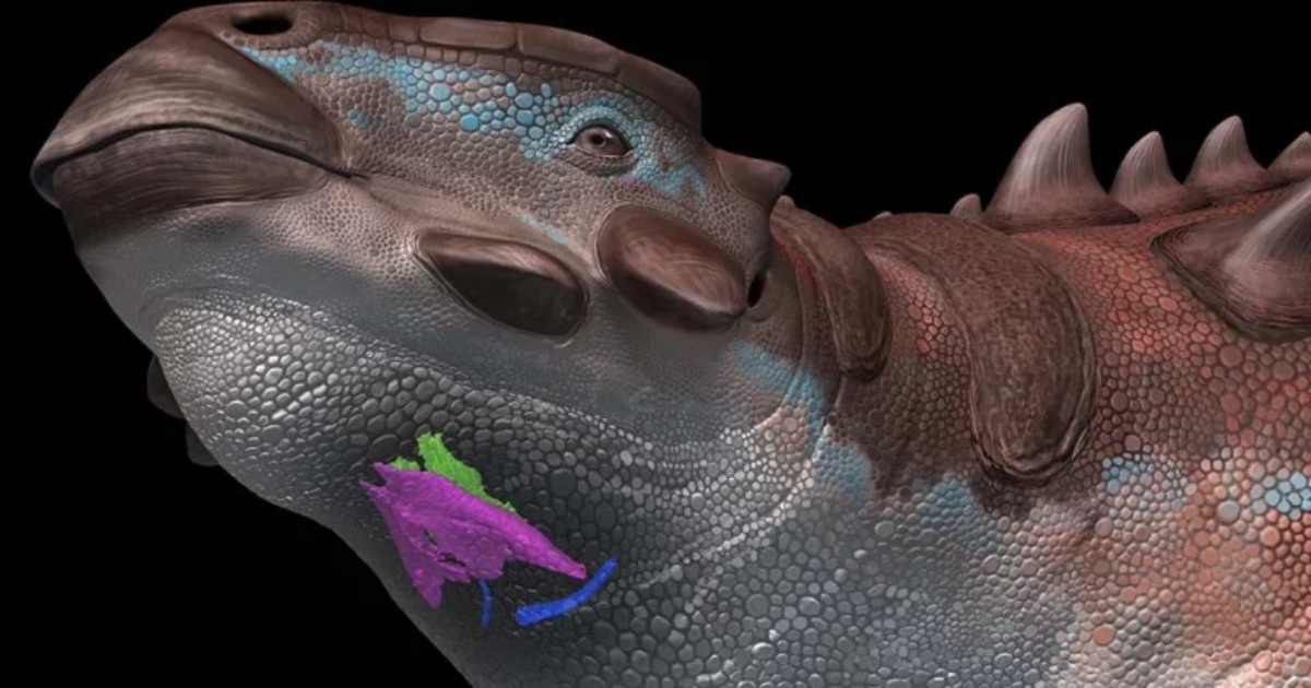 Did they chirp or growl?  Scientists have speculated what sounds dinosaurs could have made