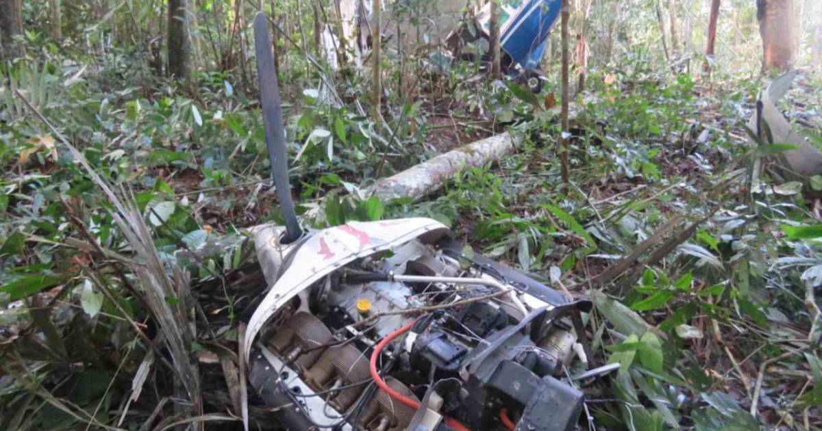Three children and a baby survived in the jungle after a plane crash in Colombia: how they did it