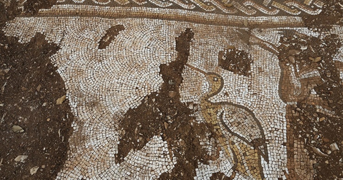 Ancient mosaics depicting sea creatures were discovered in Turkey