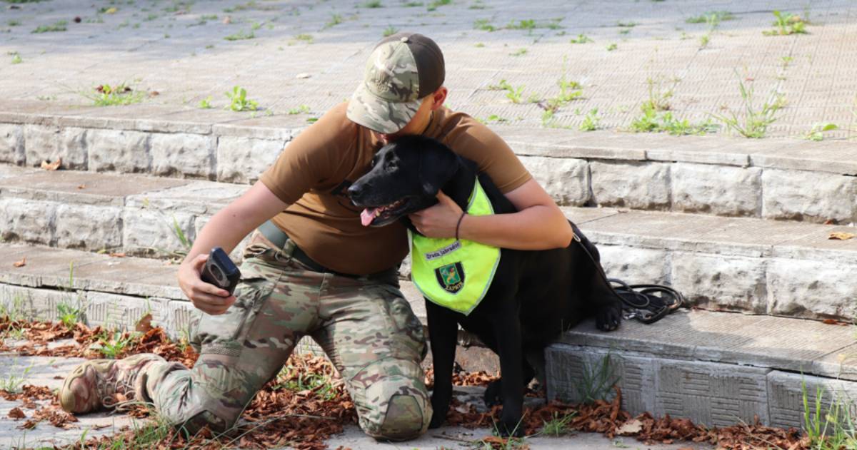 Canister therapy: the National Guard told how therapy dogs help the military