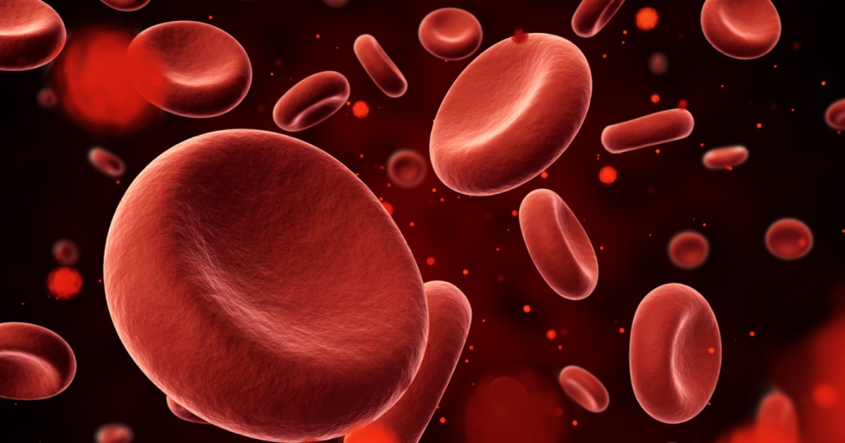 The first bank for long-term storage of erythrocytes was created in Ukraine